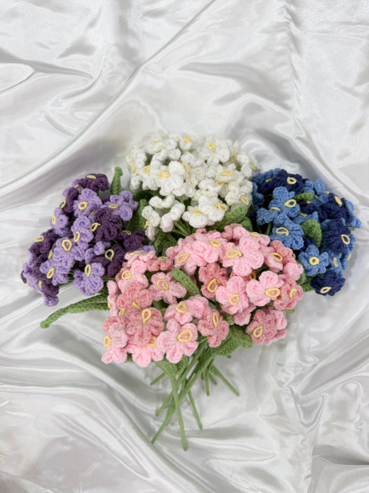 Forget-me-not